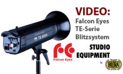 feature_falconeyes