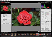Meine ersten Lightroom Experimente 2006