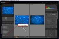 Lightroom Protokoll Lightroom Protokoll