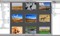 acdseepro-mac-manage-mode