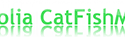 CatFishMan – die IPTC-Kategorienliste für Fotolia