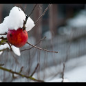 Winterfotos aus dem Bürofenster