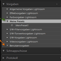 Lightroom-Quickie: Vorgaben mit Katalog speichern eine gute Idee?