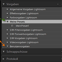 Lightroom-Quickie: Vorgaben mit Katalog speichern eine gute Idee?