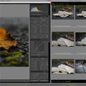 Lightroom-Quickie: Dualmonitor-Funktionen mit nur einem Display nutzen