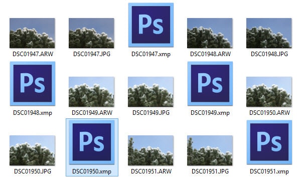 XMP-Sidecar Dateien mit RAW- und JPEG-Fotos im Dateisystem