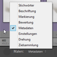 Lightroom-Quickie: Dieser Tipp lässt euch vor Begeisterung sprühen!