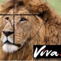 Never a Nikon? Der Kamerahersteller tritt ins Fettnäpfchen