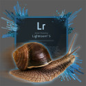 Lightroom-Quickie: Import und Bearbeitung von Fotos unter Lightroom 5 beschleunigen