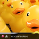 [Sponsored Video] LG Hidden Worlds – virtuelle Abenteuerreise unternehmen und LG G2 Smartphone gewinnen