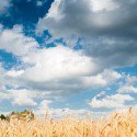 10 neue und kostenlose Lightroom Presets für blauen Himmel