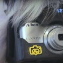 PhoDographer – Nikon lässt mit Heartography Hunde Fotos machen