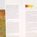 Fotografieren für Fortgeschrittene als kostenloses E-Book herunterladen