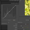 Lightroom-Tipp: Lightroom hat eine Hilfestellung zum Workflow bei der Bearbeitung