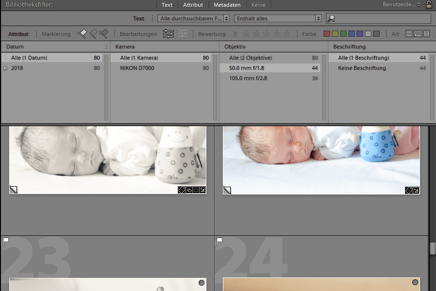 Praktische Suchpresets und Suchfilter für Lightroom erstellen