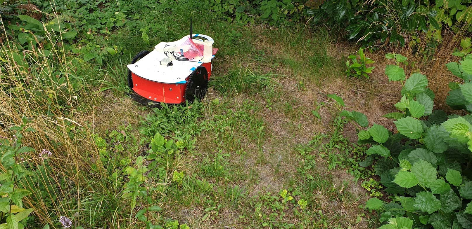 ArduMower DIY Mähroboter mit GPS im hohen Gras